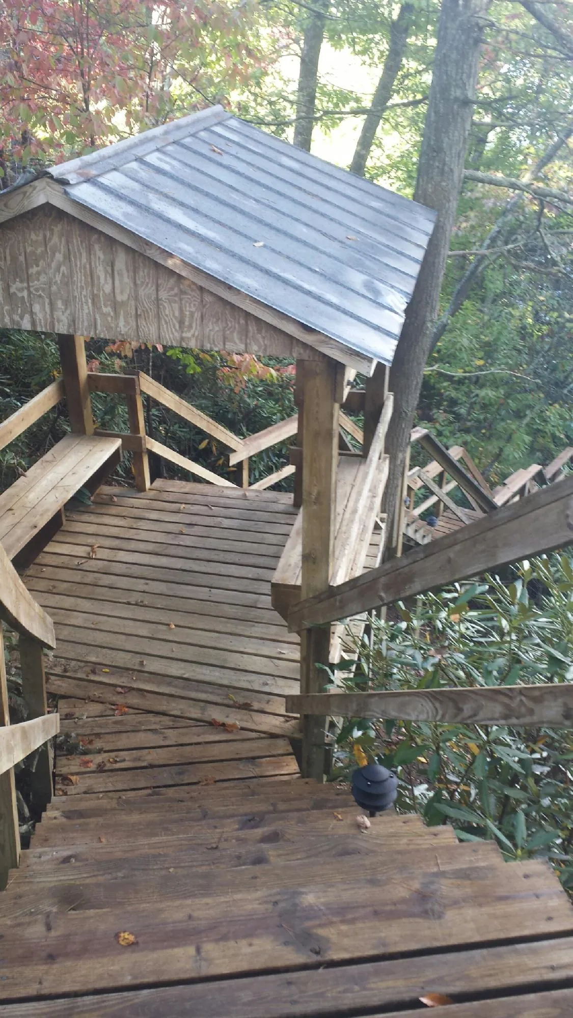 Metal roofed shelter over wooden steps on a wooded walkway — Skylight Repair & Installation work by our crew in Palo Alto